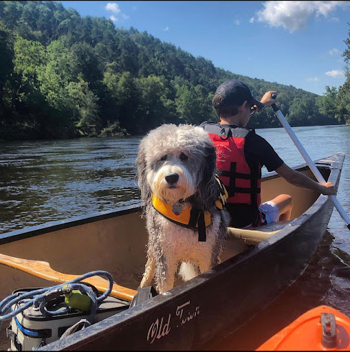 Outdoor Sports Store «Edge of the Woods Outfitters», reviews and photos, 110 Main St, Delaware Water Gap, PA 18327, USA
