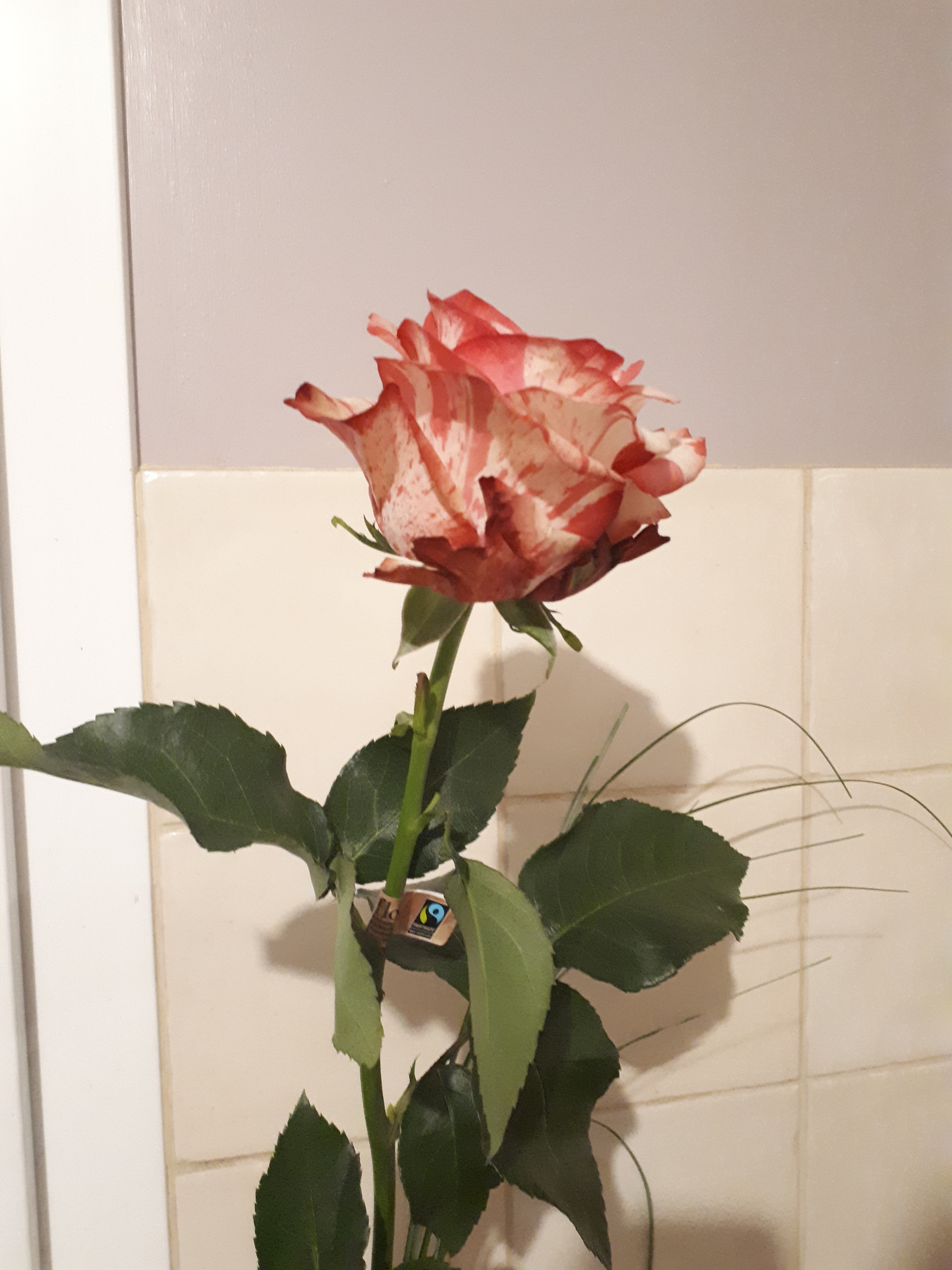 Photo n° 1 de l'avis de Mathieu. fait le 14/02/2019 à 20:21