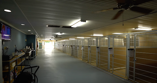 Sutton's Southern Pet Retreat - Irmo (formerly Wag-N-Train Kennel)