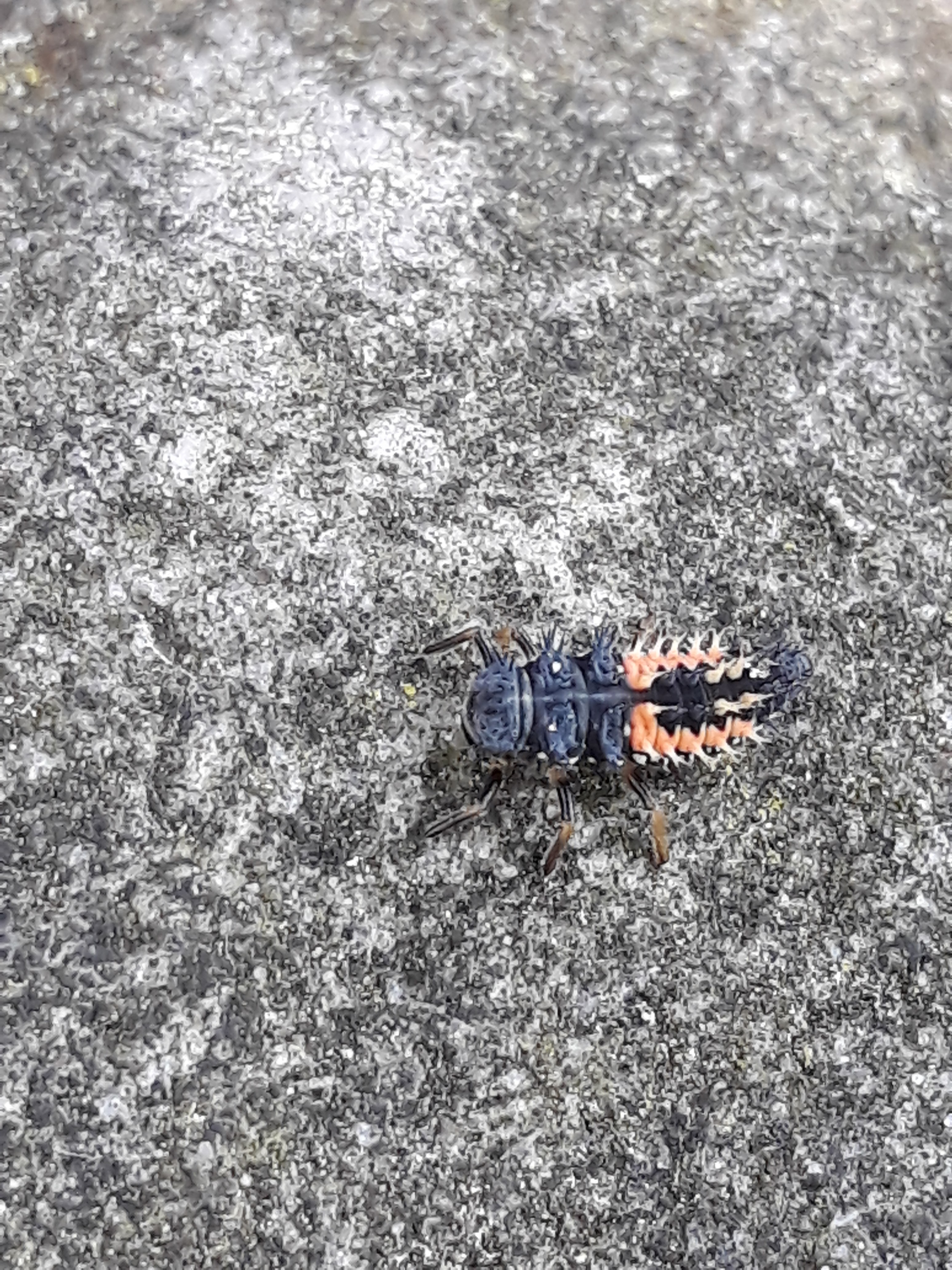 Photo n° 1 de l'avis de charles.a fait le 23/06/2018 à 12:00