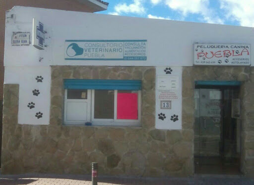 Consultorio Veterinario Pelocura -peluquería Canina en Yeles