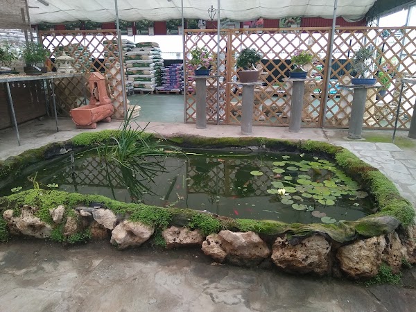 Imagen de Garden Center Campo Grande (4 de 24)