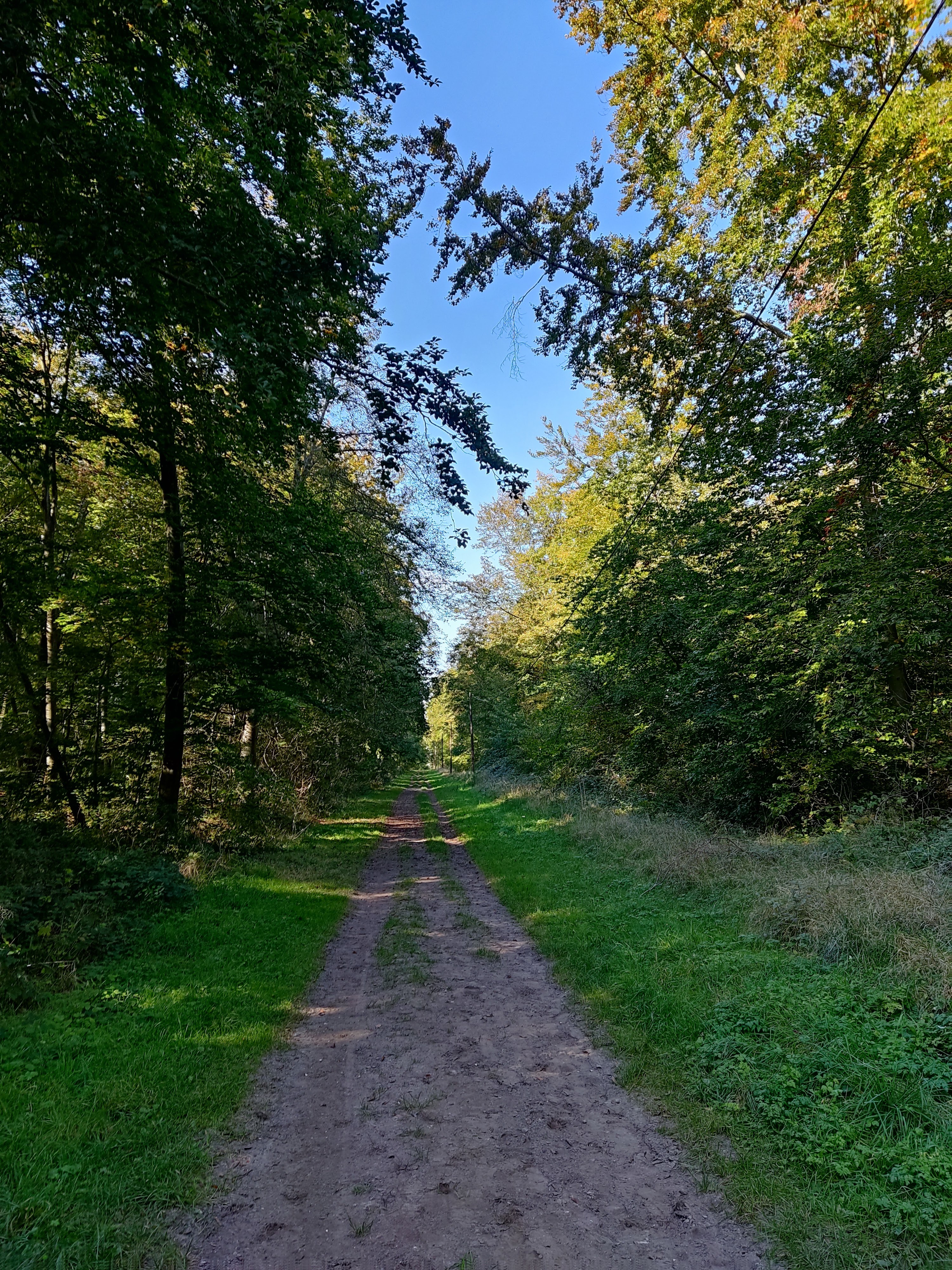Photo n° 25 de l'avis de Mikkonen.e fait le 19/10/2021 à 08:24