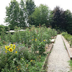 Photo n°16 de l'avis de Sindacolele. fait le 25/07/2021 à 19:26 sur le  Trattoria Il Portico à Monticello