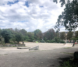 Gemeinschaftsgarten Lindenhof e.V. photo