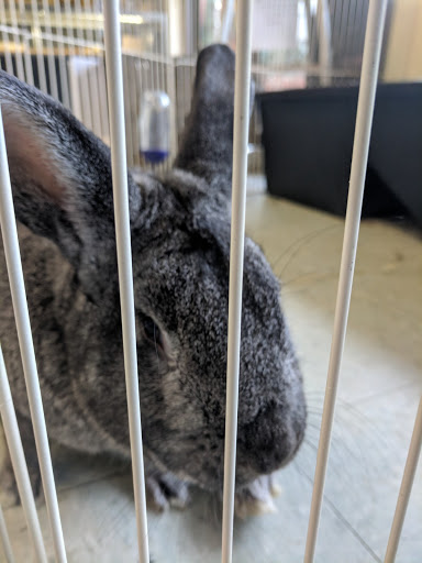 Pet Store «Critters & Co Pet Center», reviews and photos, 11042 WA-525, Clinton, WA 98236, USA