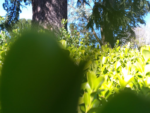 Novelty Store «Sausalito Ferry Co. Novelty Toy and Gift Store», reviews and photos, 688 Bridgeway, Sausalito, CA 94965, USA