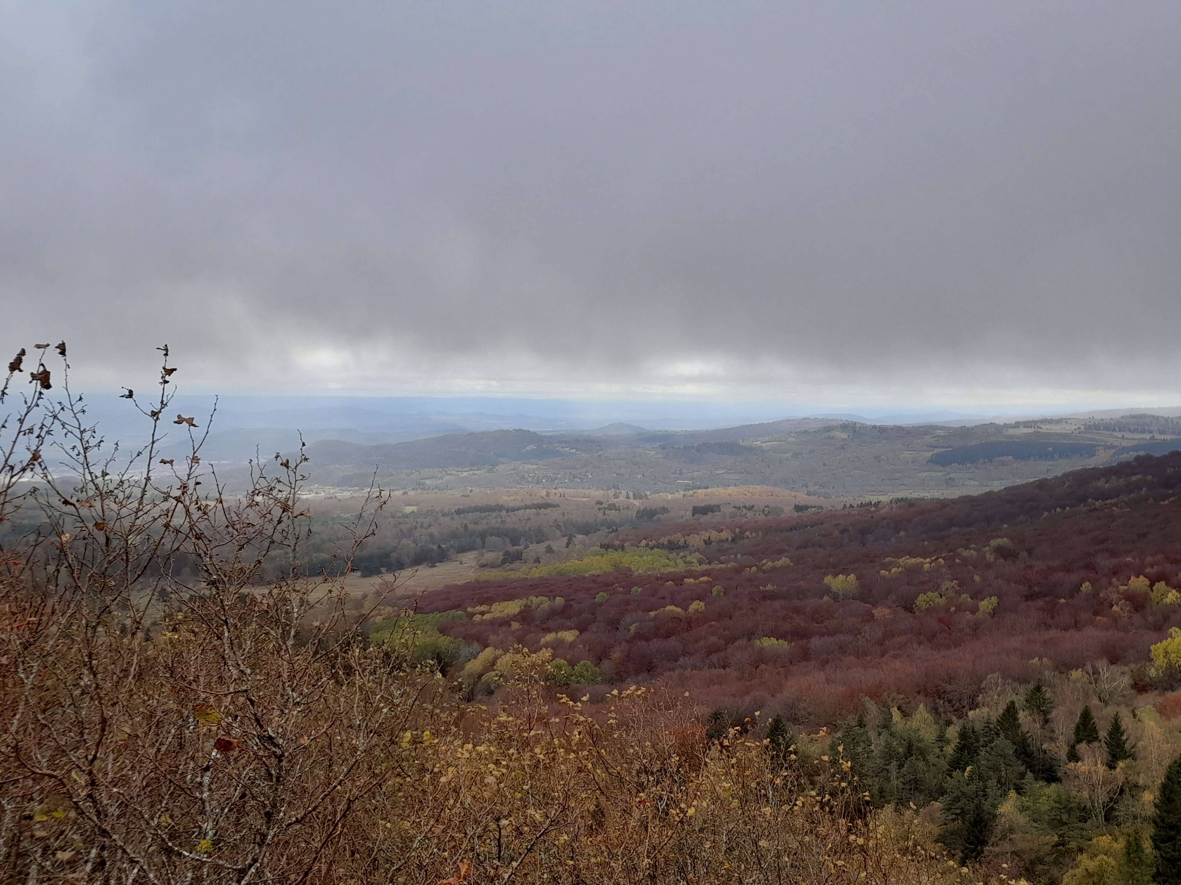 Photo n° 8 de l'avis de Tristan.o fait le 29/10/2020 à 13:11