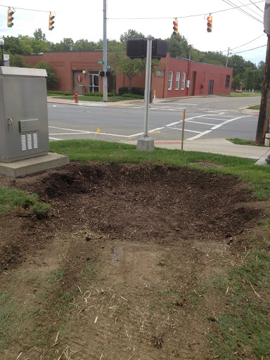 Ricks Stump Grinding image 7