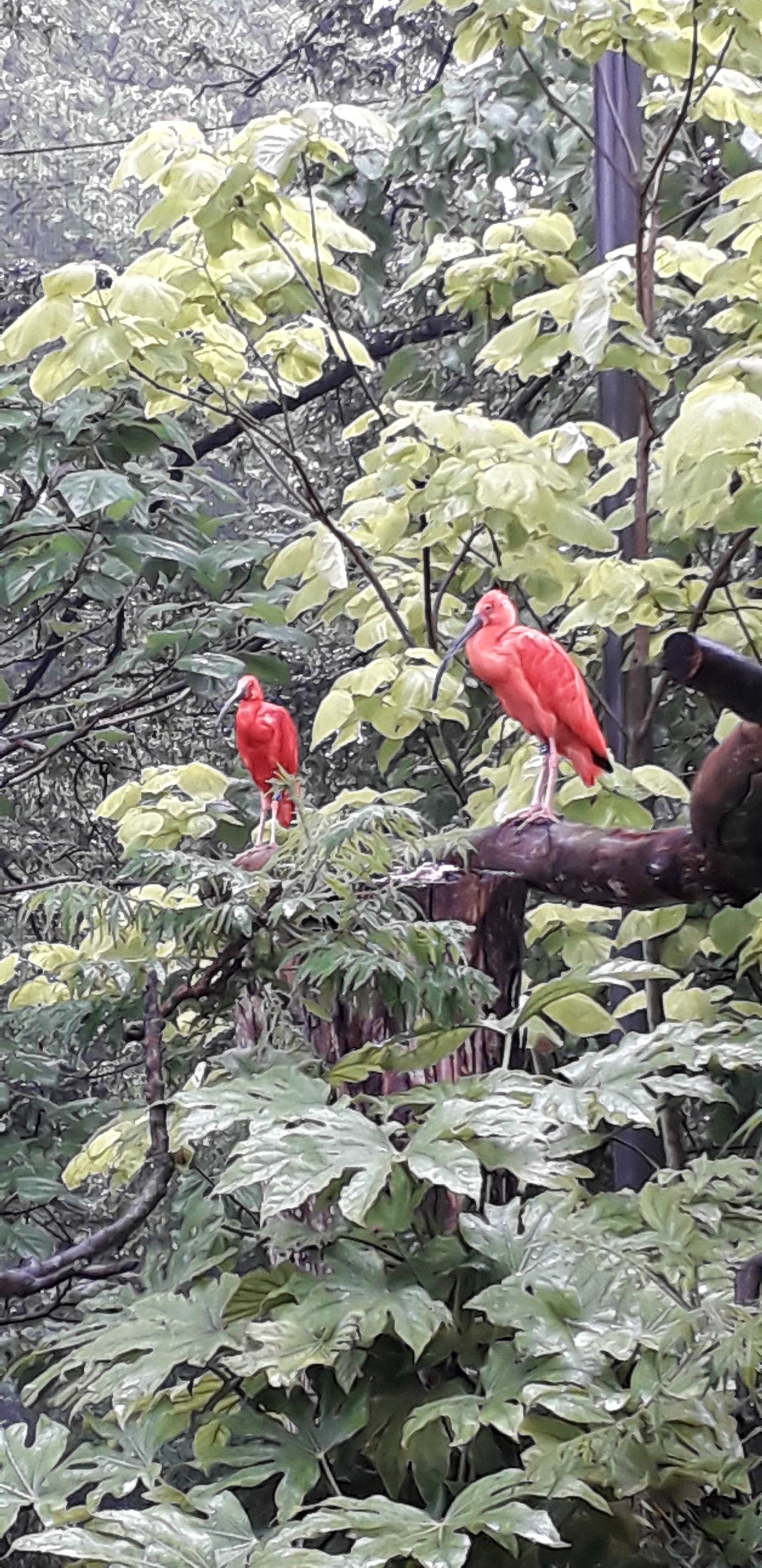 Photo n° 5 de l'avis de Nelly.n fait le 05/06/2022 à 19:16