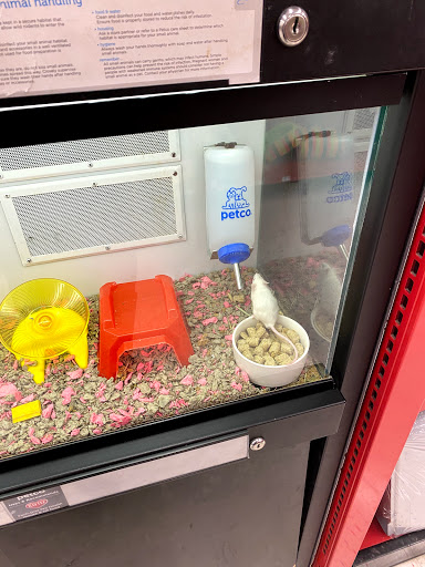 Pet Supply Store «Petco Animal Supplies», reviews and photos, 9480 W Northern Ave, Glendale, AZ 85305, USA