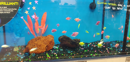 Pet Supply Store «Petco Animal Supplies», reviews and photos, 1049 S Willow St, Manchester, NH 03103, USA