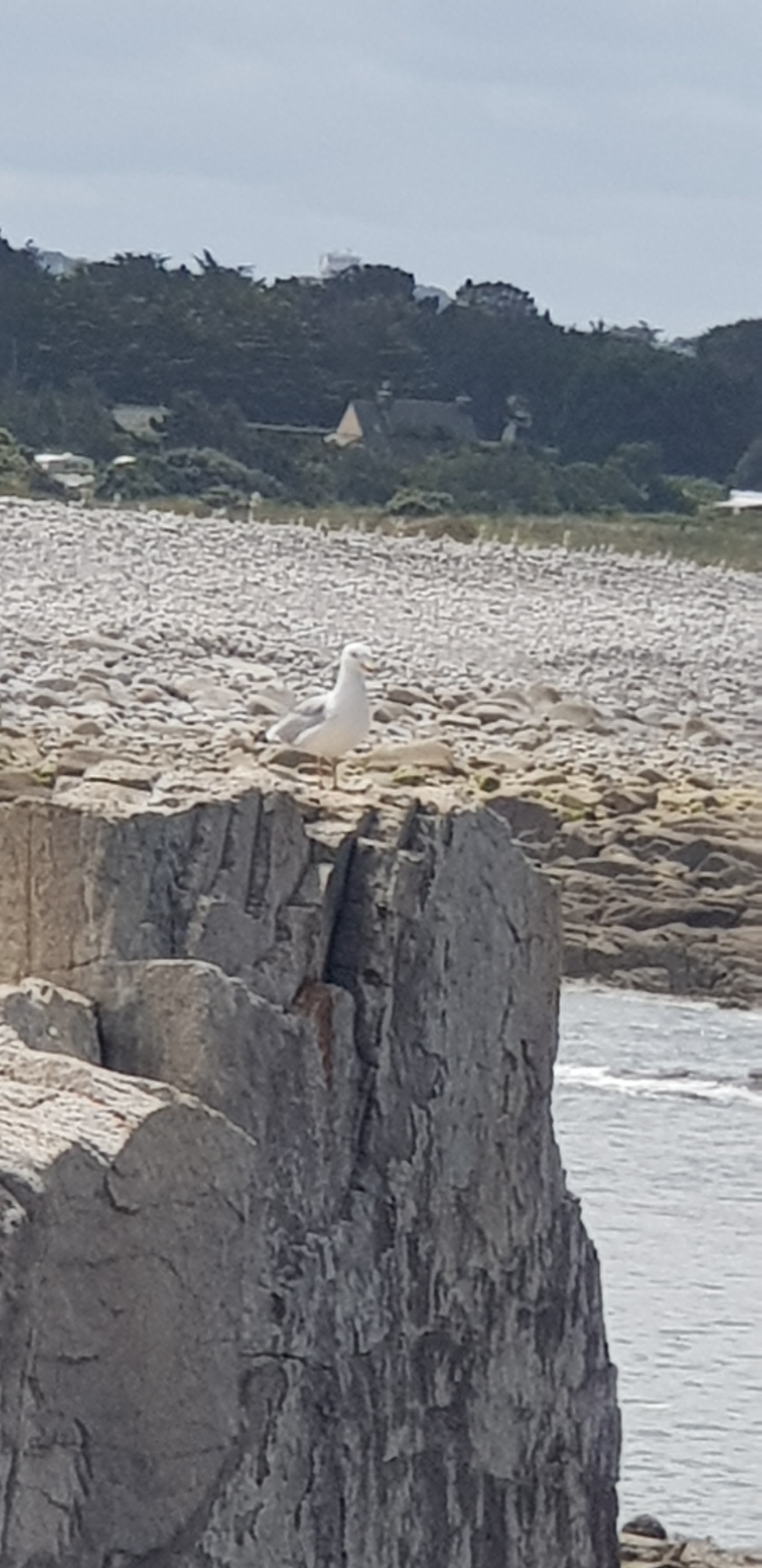 Photo n° 3 de l'avis de Carole.u fait le 19/07/2019 à 12:44