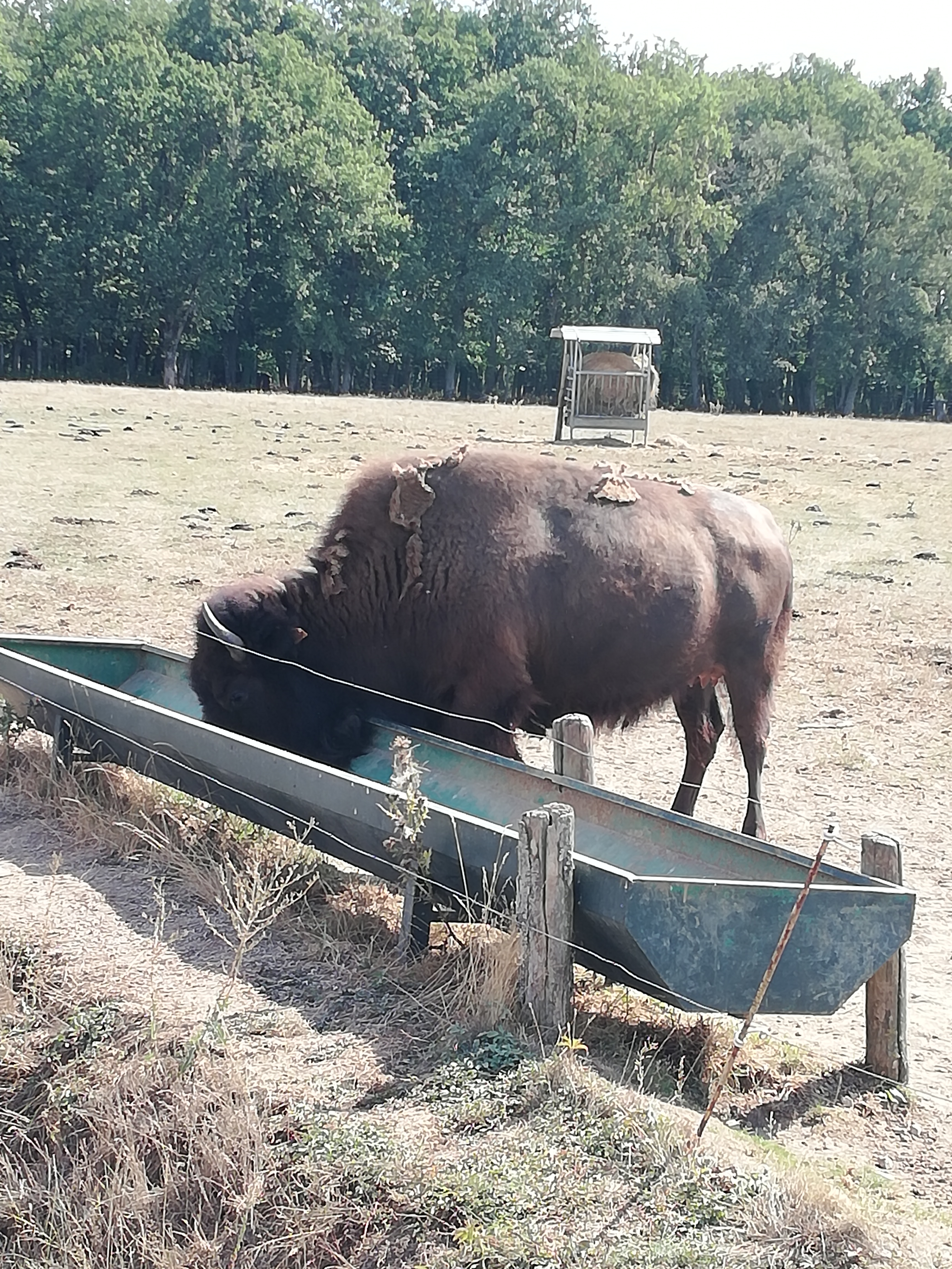 Photo n° 46 de l'avis de Severine.e fait le 23/08/2019 à 23:18