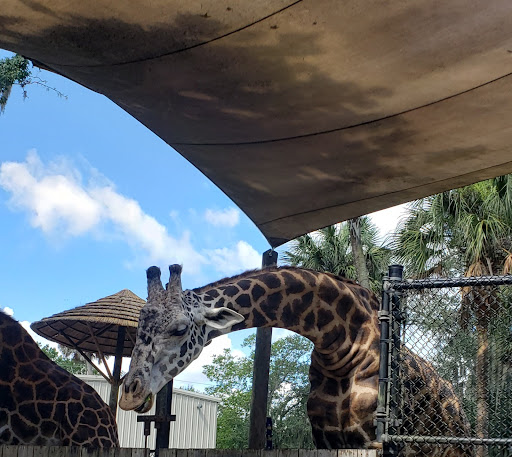 Zoo «Central Florida Zoo & Botanical Gardens», reviews and photos, 3755 NW Hwy 17-92, Sanford, FL 32771, USA