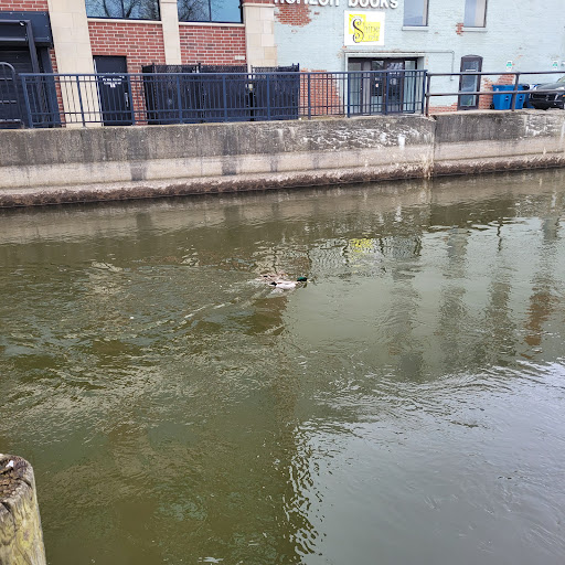 Book Store «Horizon Books», reviews and photos, 243 E Front St, Traverse City, MI 49684, USA