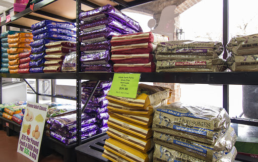 Pet Store «Pet Wize», reviews and photos, 11401 N 56th St, Tampa, FL 33617, USA