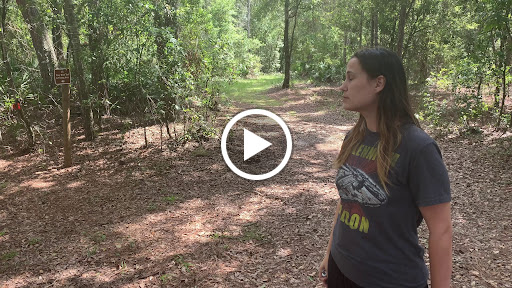 Nature Preserve «Gator Creek Reserve», reviews and photos, 9725 US Hwy 98 N, Lakeland, FL 33809, USA