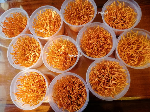 Đông Trùng Hạ Thảo Nha Trang