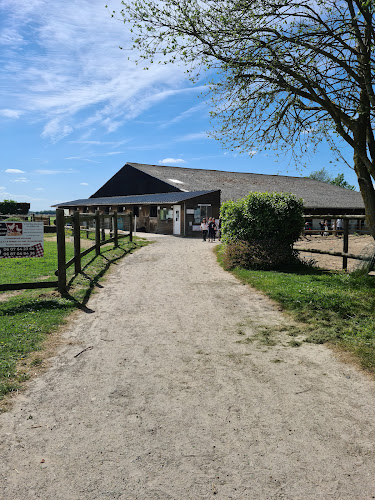 Centre Equestre du Caillebourg à Saint-Martin-aux-Arbres