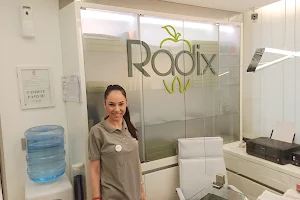 Radix dental klinika image