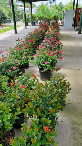 Plant Nursery «HOUSTON PLANTS & GARDEN WORLD», reviews and photos, 16726 North Fwy, Houston, TX 77090, USA