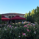 Photo n°3 de l'avis de Tony.l fait le 28/07/2023 à 19:09 sur le  The Valley Farm - Az. Naturalistica Lajatico à Lajatico