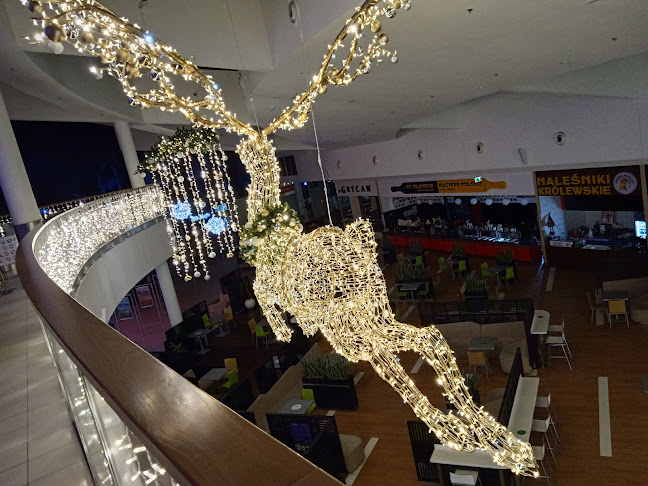 http://www.galeriasudecka.pl/