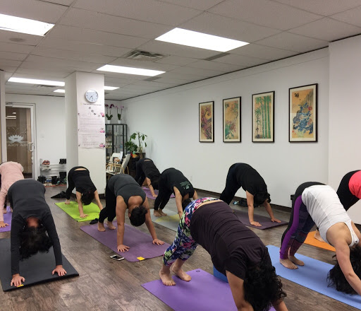 Hua yoga & HZ Health Clinic