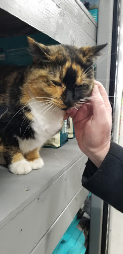 Pet Supply Store «Northside Grange», reviews and photos, 4116 Hamilton Ave, Cincinnati, OH 45223, USA