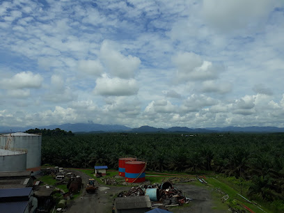 IOI Pamol Sabah (Palm Oil Mill)