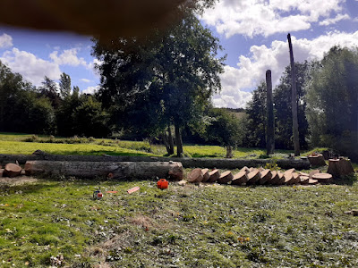 Claude élagage Tours à Montlouis-sur-Loire