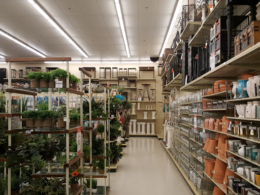 Craft Store «Hobby Lobby», reviews and photos, 2209 W Lincoln St, Harlingen, TX 78552, USA