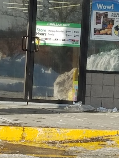 Dollar Store «Dollar Tree», reviews and photos, 111 Hulst Dr Ste #709, Matamoras, PA 18336, USA
