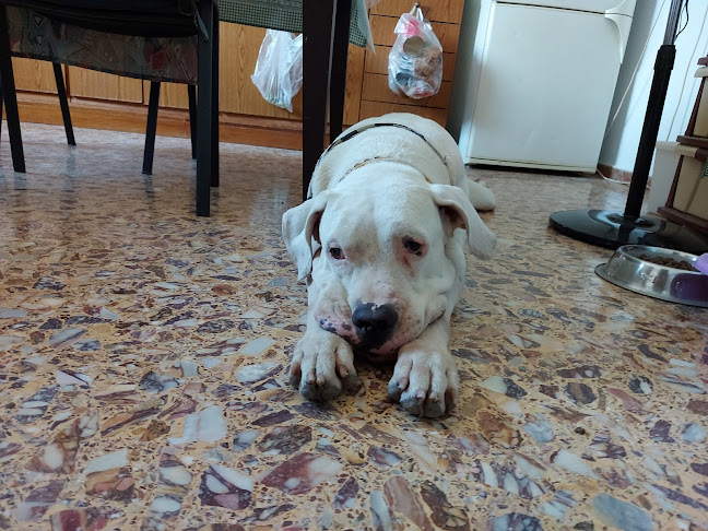 Αριθμός τηλεφώνου Vets4life