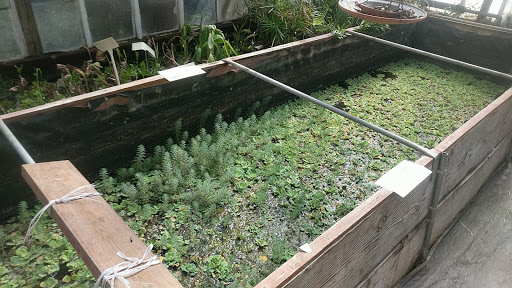 Florist «Hill Haven Farm & Greenhouse & Florist», reviews and photos, 7842 Center Rd, Valley City, OH 44280, USA