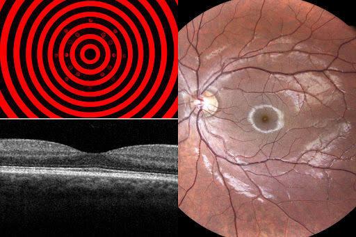 2750 S Academy Blvd #130, Colorado Springs, CO 80916, USA