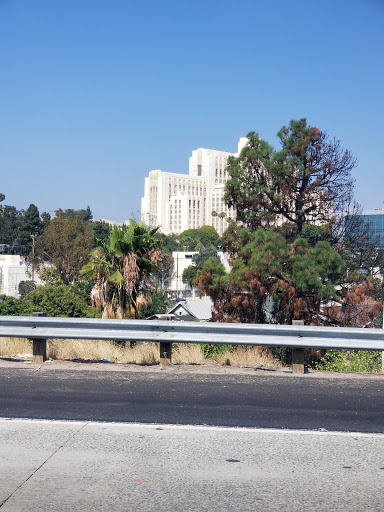 LAC+USC Medical Center Ground Heliport