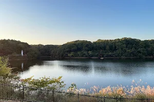 Miyazawa Lake image
