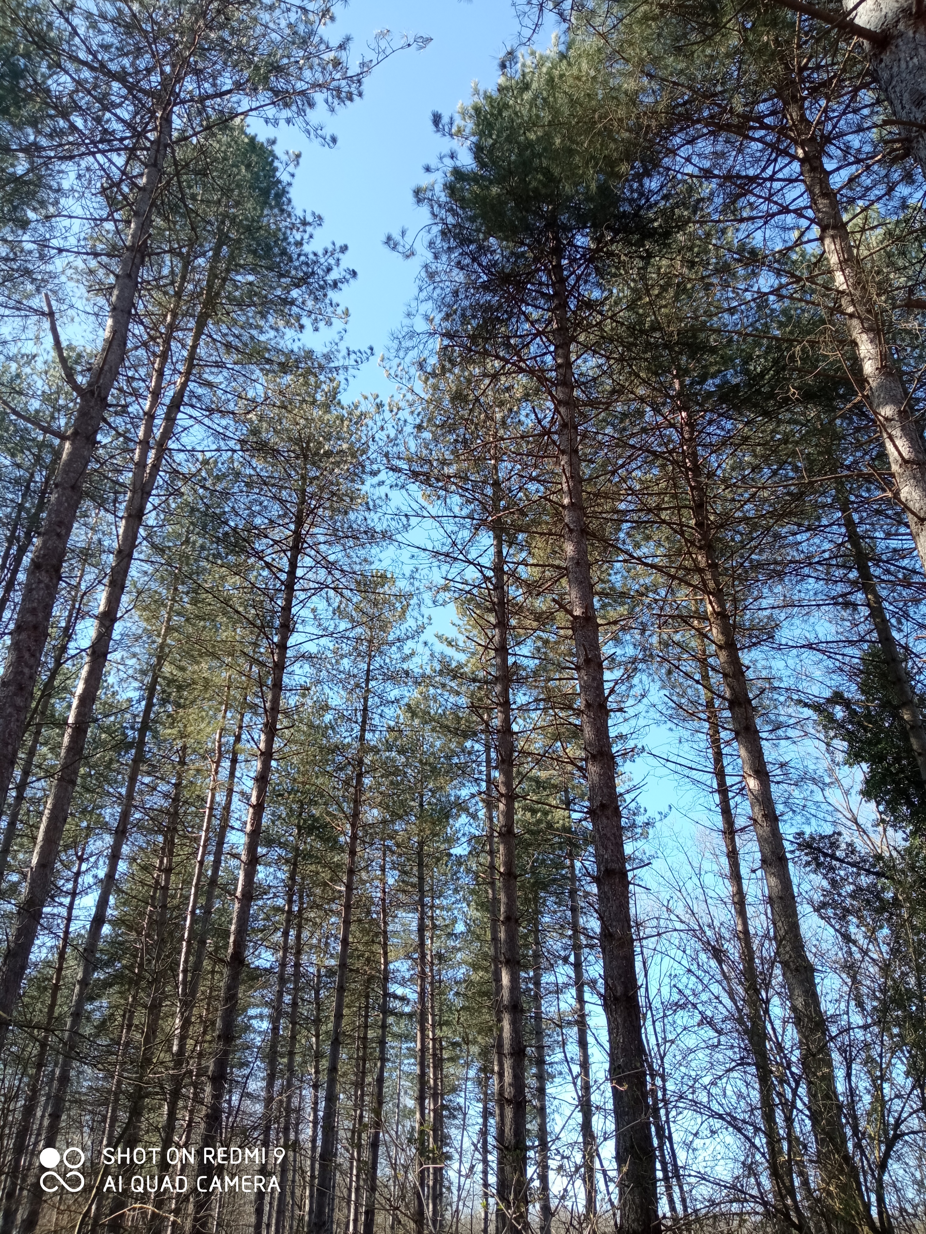 Photo n° 4 de l'avis de marieFrancois.y fait le 28/02/2021 à 14:41