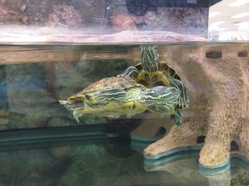 Pet Supply Store «Petco Animal Supplies», reviews and photos, 3012 Bridgepointe Pkwy, San Mateo, CA 94404, USA