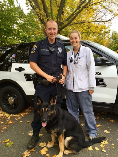 Star Meadow Animal Clinic image