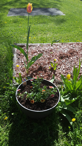 Garden Center «Potsdam Agway», reviews and photos, 14 Pine St, Potsdam, NY 13676, USA