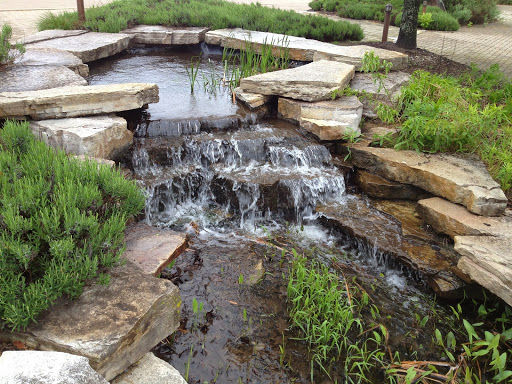 Bird Watching Area «Coffee Creek Watershed Preserve», reviews and photos, 2401 Village Point, Chesterton, IN 46304, USA