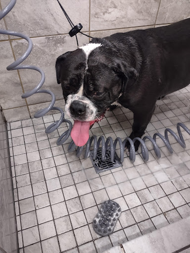 Pet Supply Store «Pet Supplies Plus», reviews and photos, 713 Brandilynn Blvd, Cedar Falls, IA 50613, USA