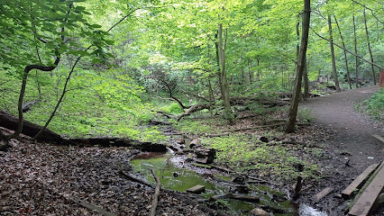 The Don Valley Wildlife Collection