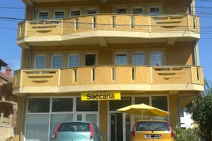 Saccaria image
