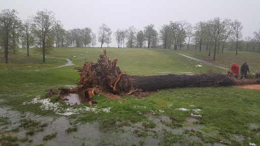 Thrift Store «West Plains Regional Animal Shelter», reviews and photos, 1438 State Rte BB, West Plains, MO 65775, USA