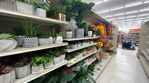 Discount Store «Big Lots», reviews and photos, 10 Newbury St #5, Danvers, MA 01923, USA