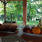 Photo n°1 de l'avis de Alessandro.c fait le 08/07/2020 à 19:40 sur le  Hotel B&B - La Casa dei Racconti à Ceggia